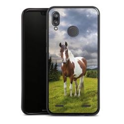 Carry Case Single Black