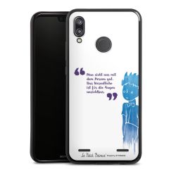 Carry Case Hülle Schwarz ohne Band