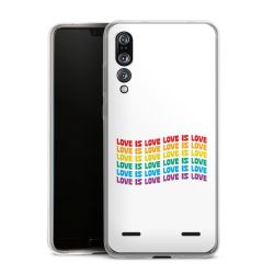 Carry Case Single Transparent