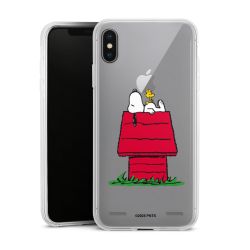 New Carry Case Hülle Transparent