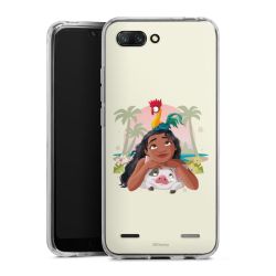 New Carry Case Hülle Transparent