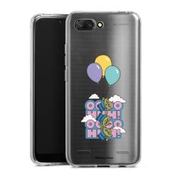 Carry Case Single Transparent