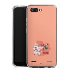 New Carry Case Hülle Transparent