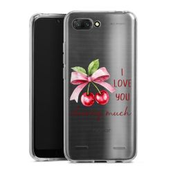 New Carry Case Hülle Transparent