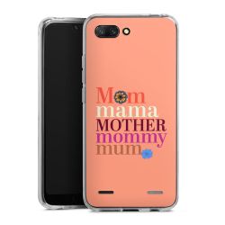 Carry Case Single Transparent