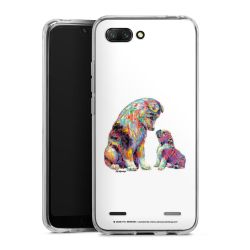 Carry Case Single Transparent