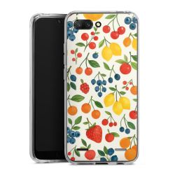 New Carry Case Hülle Transparent