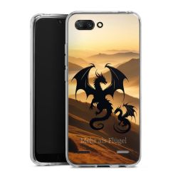 Carry Case Single Transparent