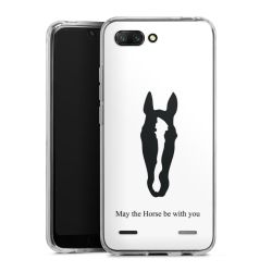 Carry Case Single Transparent