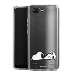 Carry Case Single Transparent