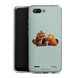 Carry Case Single Transparent