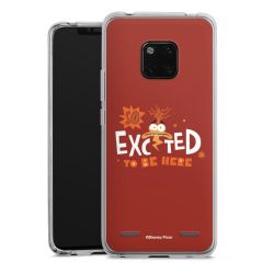 New Carry Case Hülle Transparent