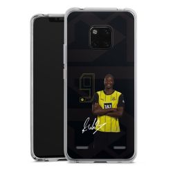 New Carry Case Hülle Transparent