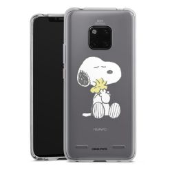 New Carry Case Hülle Transparent