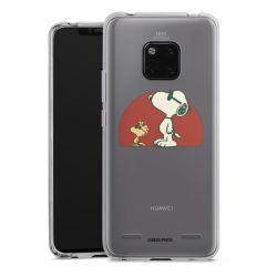 New Carry Case Hülle Transparent