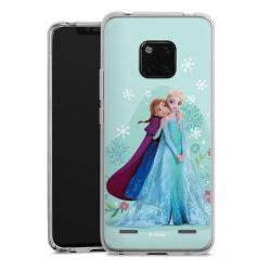 New Carry Case Hülle Transparent