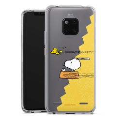 New Carry Case Hülle Transparent