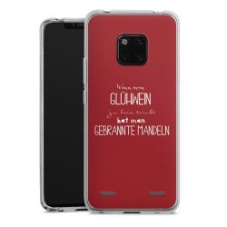 Carry Case Hülle Transparent ohne Band