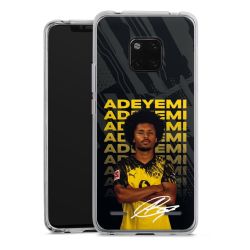 New Carry Case Hülle Transparent