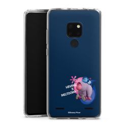 Carry Case Single Transparent