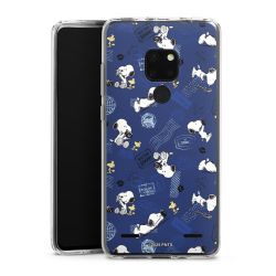 Carry Case Single Transparent