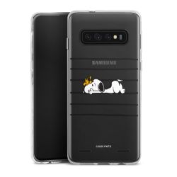 New Carry Case Hülle Transparent