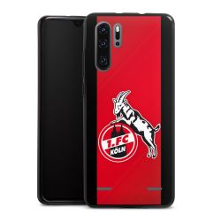 Carry Case Hülle Schwarz ohne Band