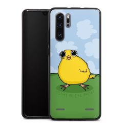 Carry Case Hülle Schwarz ohne Band