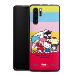 Carry Case Hülle Schwarz ohne Band