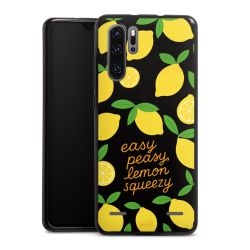 Carry Case Single Black