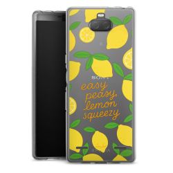 Carry Case Single Transparent