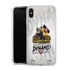 Carry Case Hülle Transparent/glitter ohne Band