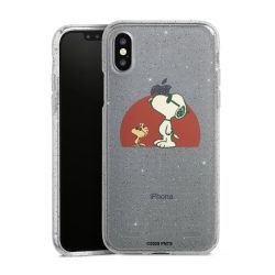 Carry Case Hülle Transparent/glitter ohne Band