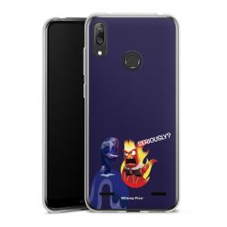 Carry Case Single Transparent