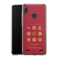 Carry Case Single Transparent