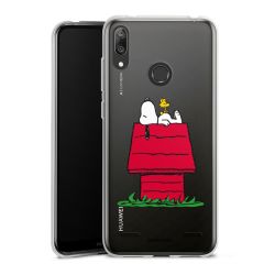 New Carry Case Hülle Transparent