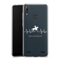 Carry Case Single Transparent