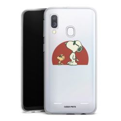 Carry Case Single Transparent