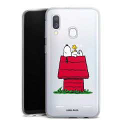 Carry Case Single Transparent