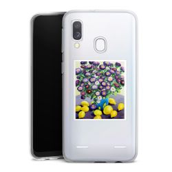 New Carry Case Hülle Transparent