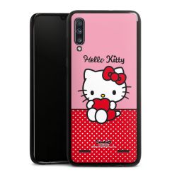 Carry Case Hülle Schwarz ohne Band