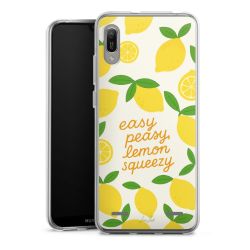 Carry Case Single Transparent