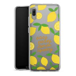 Carry Case Single Transparent