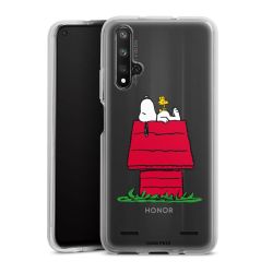 Carry Case Single Transparent