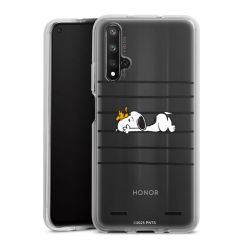 Carry Case Single Transparent