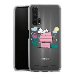 Carry Case Single Transparent