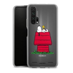 Carry Case Single Transparent