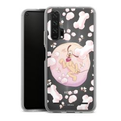 Carry Case Single Transparent