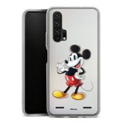 Carry Case Single Transparent