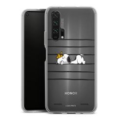 Carry Case Single Transparent